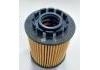 Fuel Filter:1017110XEN01